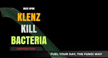 Does Spor Klenz Effectively Kill Bacteria? A Comprehensive Analysis