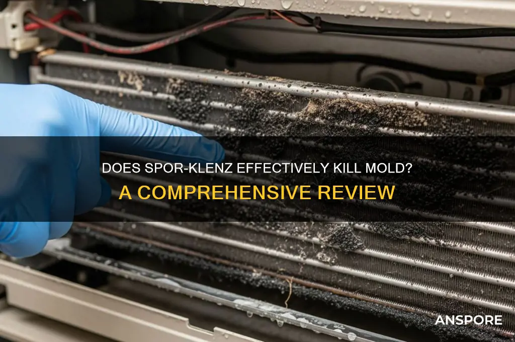 does spor klenz kill mold