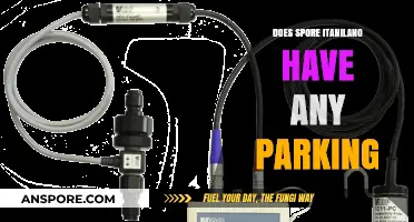 Spore Itanilano Parking: Availability, Options, and Visitor Tips