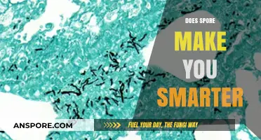 Can Spore Boost Brain Power? Exploring Its Cognitive Benefits