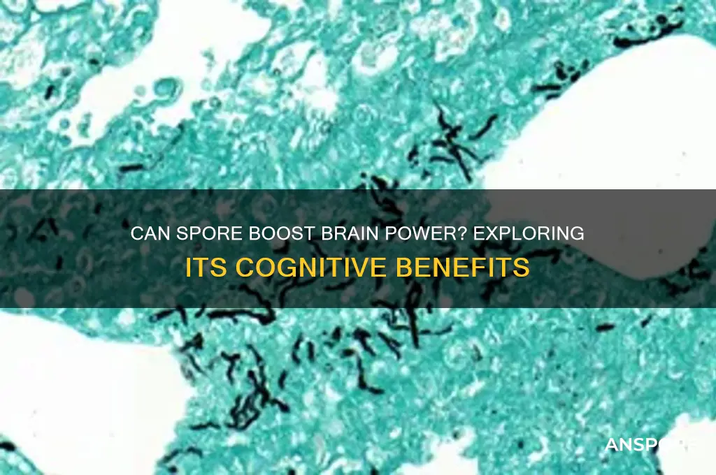 does spore make you smarter