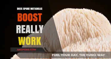 Spore Metabolic Boost: Unveiling the Truth Behind Its Effectiveness