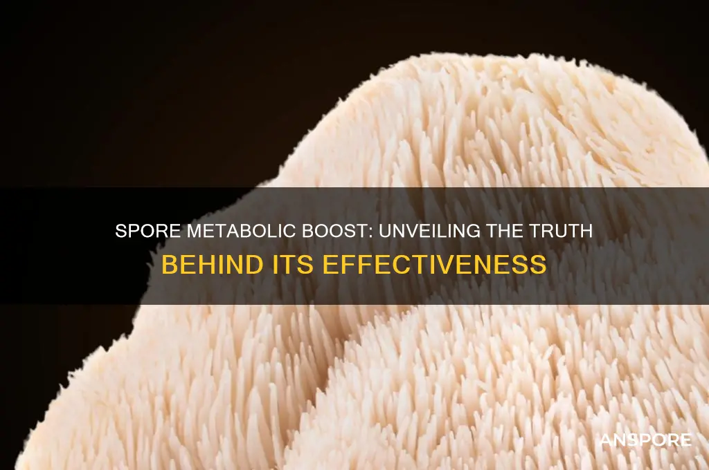 does spore metabolic boost really work