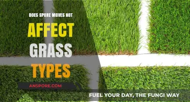 Spore's Impact on Grass Types: Debunking the Immunity Myth