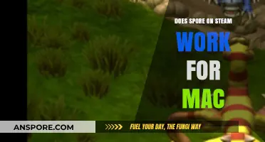 Does Spore on Steam Work for Mac? Compatibility Guide