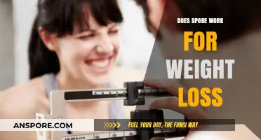 Does Spore-Based Supplementation Aid in Effective Weight Loss?