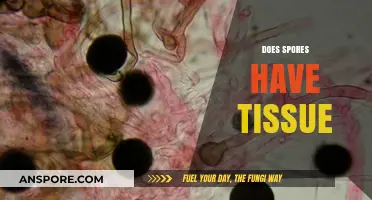 Do Spores Contain Tissue? Unraveling the Microscopic Mystery