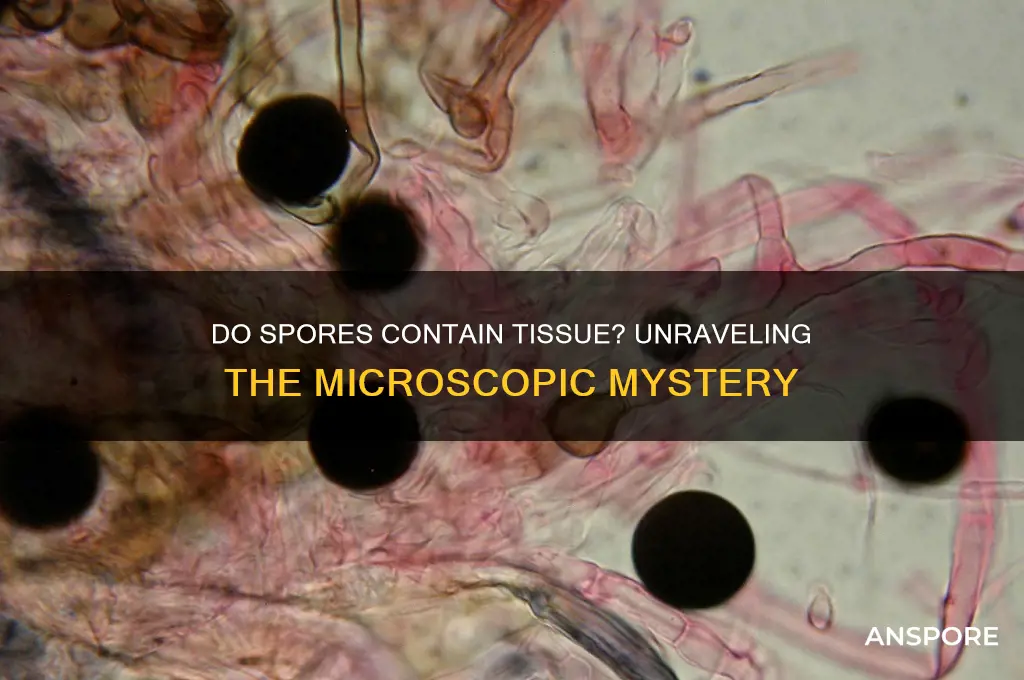 does spores have tissue