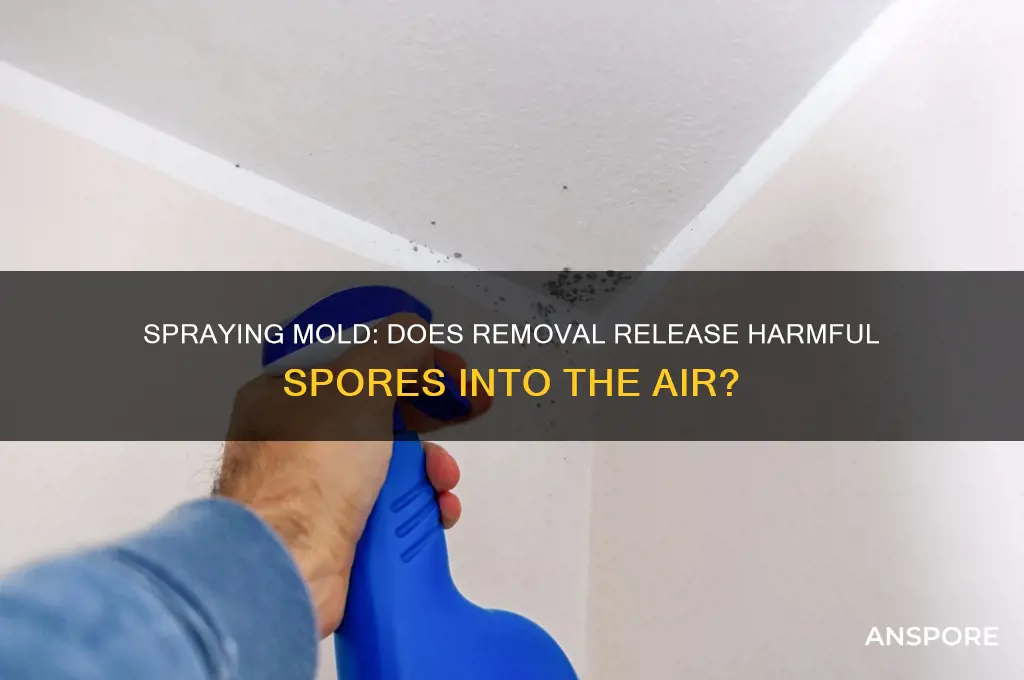does spray mold and removing cause spores to be released