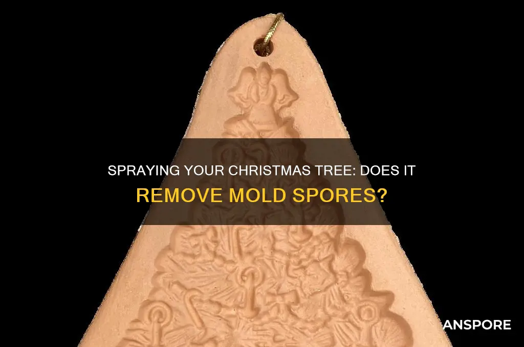 does spraying down a christmas tree wash off mold spores
