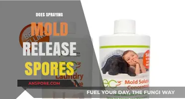 Spraying Mold: Does It Release Spores or Prevent Spread?