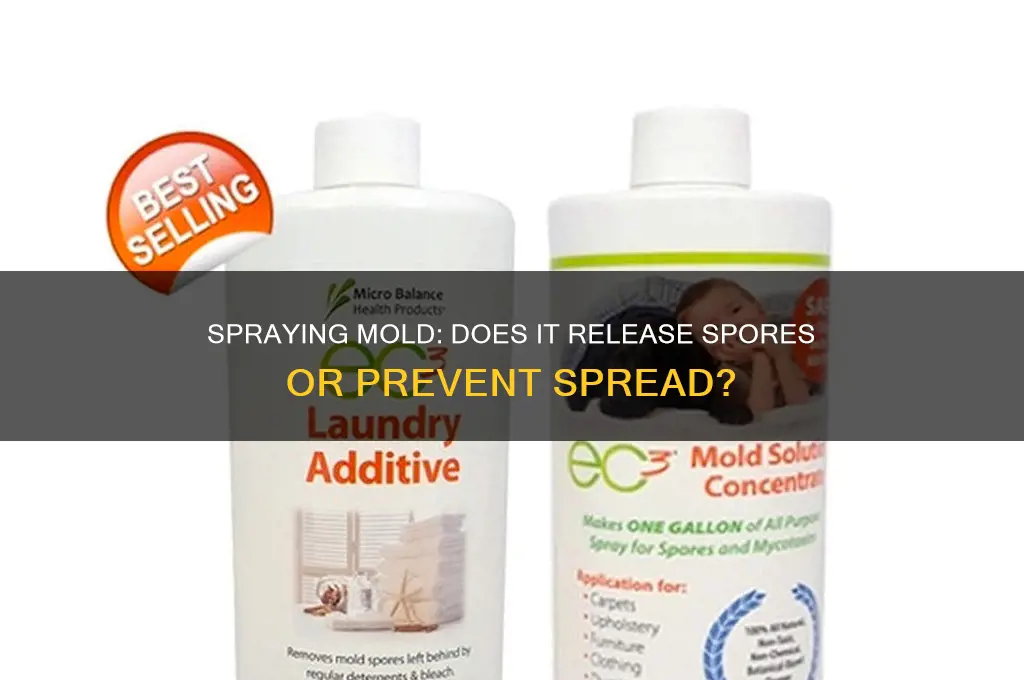 does spraying mold release spores