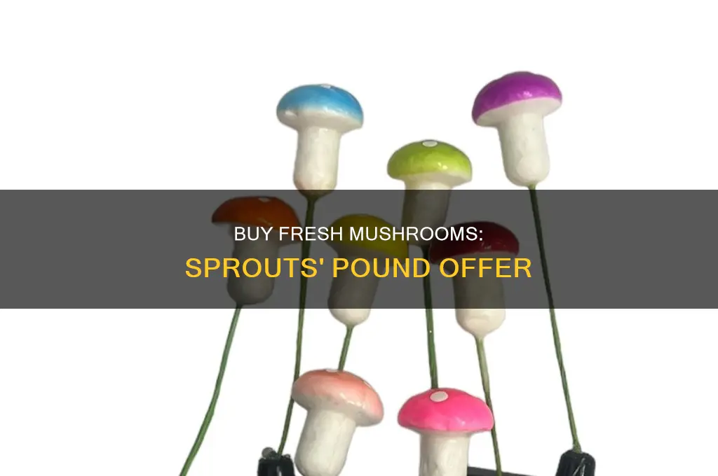 does sprouts sell mushrooms by the pound fresh