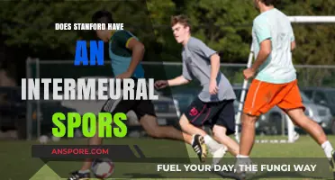 Stanford's Intramural Sports Programs: Opportunities for Students to Get Active