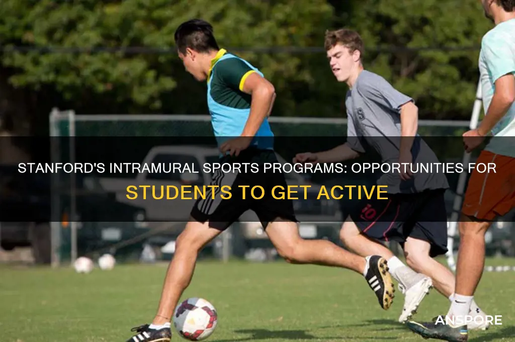 does stanford have an intermeural spors