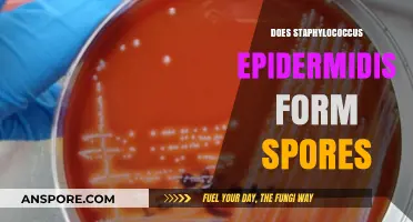 Does Staphylococcus Epidermidis Form Spores? Unraveling the Truth