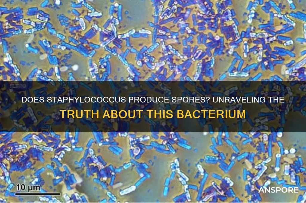 does staphylococcus produce spores