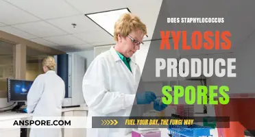 Does Staphylococcus Xylosus Form Spores? Unraveling the Bacterial Mystery