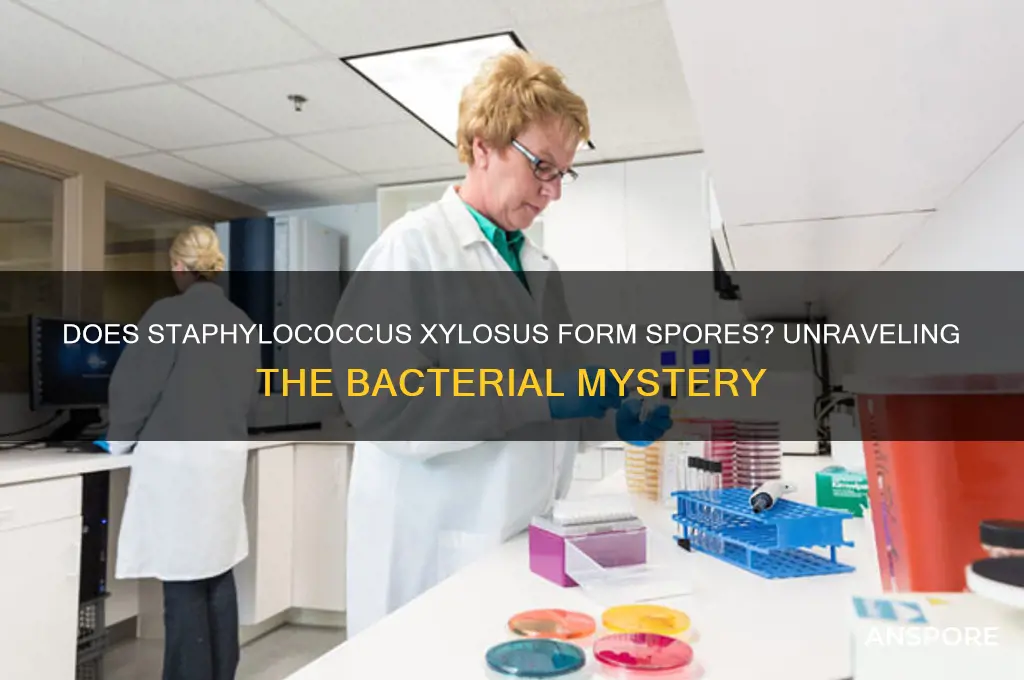 does staphylococcus xylosis produce spores