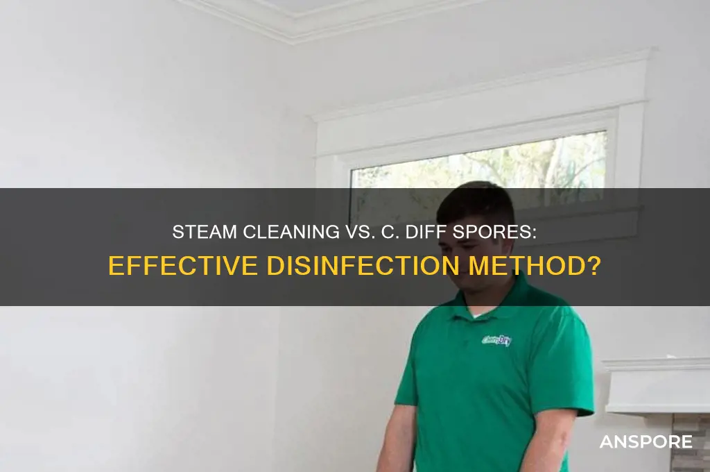 does steam cleaning kill c diff spores