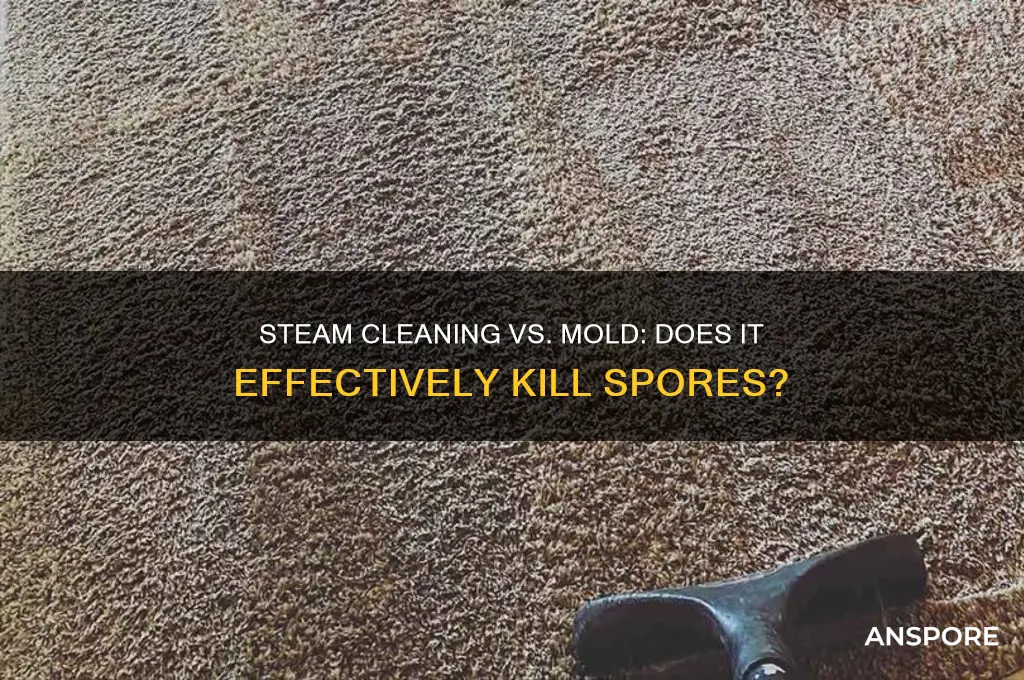 does steam cleaning kill mold spores