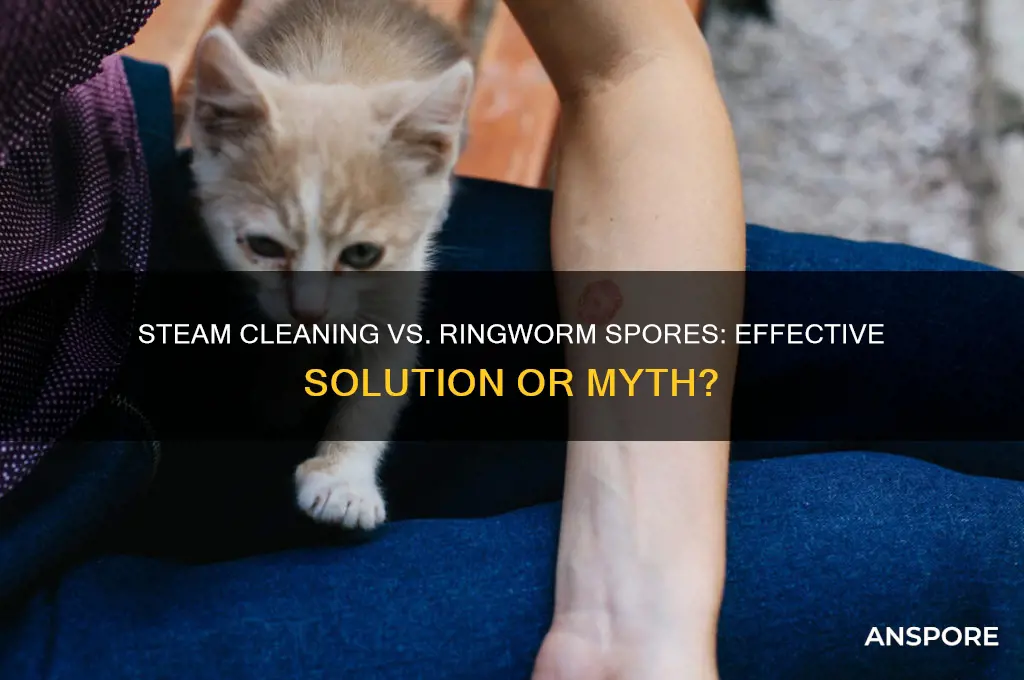 does steam cleaning kill ringworm spores