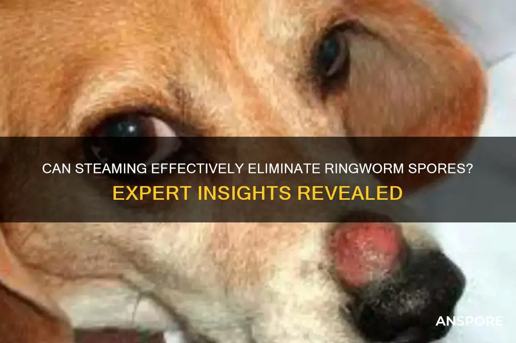 does steaming kill ringworm spores