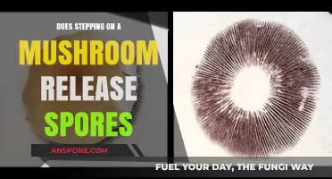 Mushroom Stepping: Spreading Spores or Just a Myth?