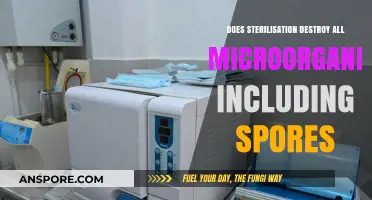 Does Sterilization Eliminate All Microorganisms, Including Spores? A Deep Dive