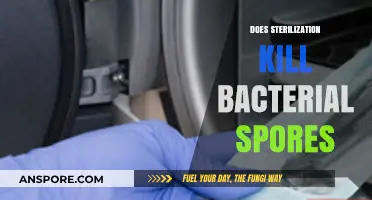 Sterilization vs. Bacterial Spores: Does It Effectively Kill Them All?