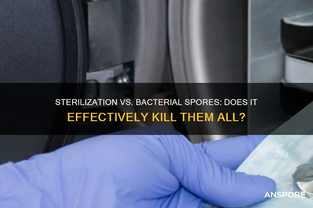 does sterilization kill bacterial spores