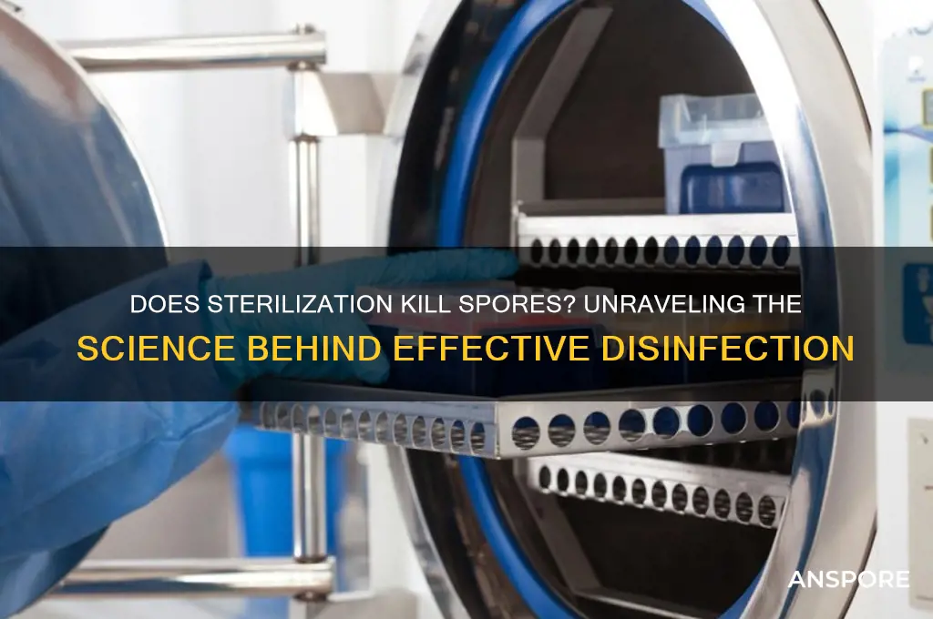 does sterilization kill spores