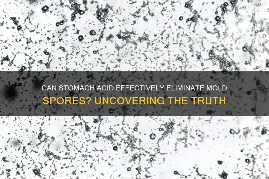 does stomach acid kill mold spores