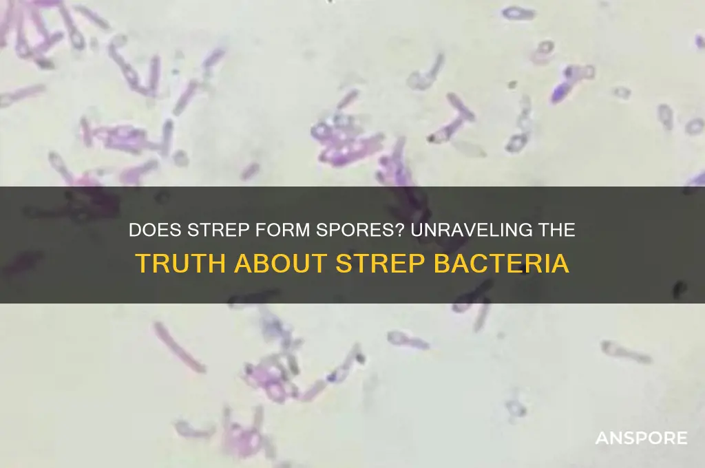 does strep form spores