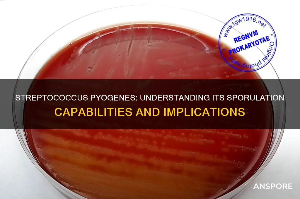 does streptococcus pyogenes form spores