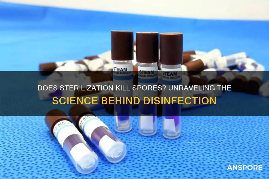 does strilization kill spores