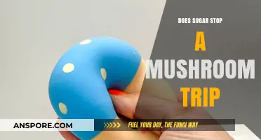 Sugar and Shrooms: A Trippy Truth