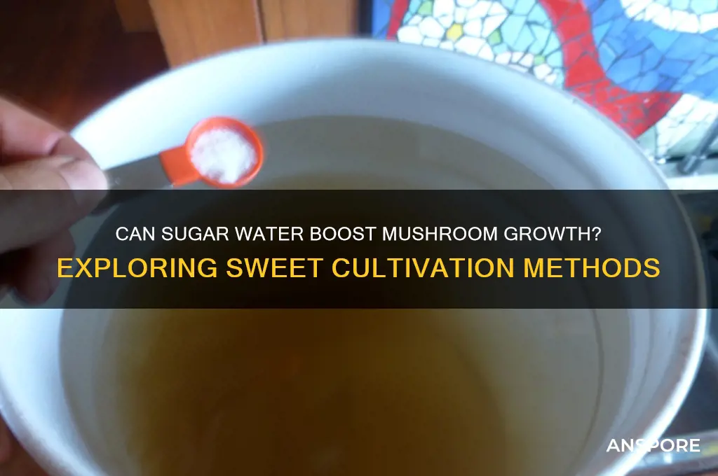 does sugar water help mushrooms grow