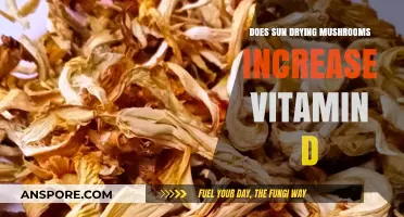 Sun-Dried Mushrooms: A Vitamin D Boost?