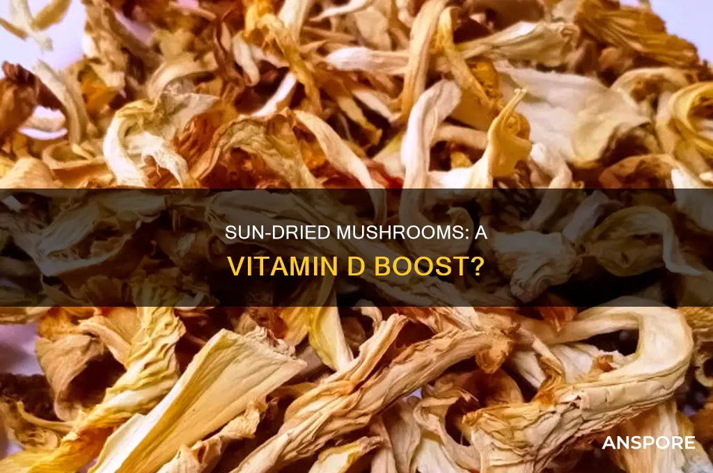 does sun drying mushrooms increase vitamin d