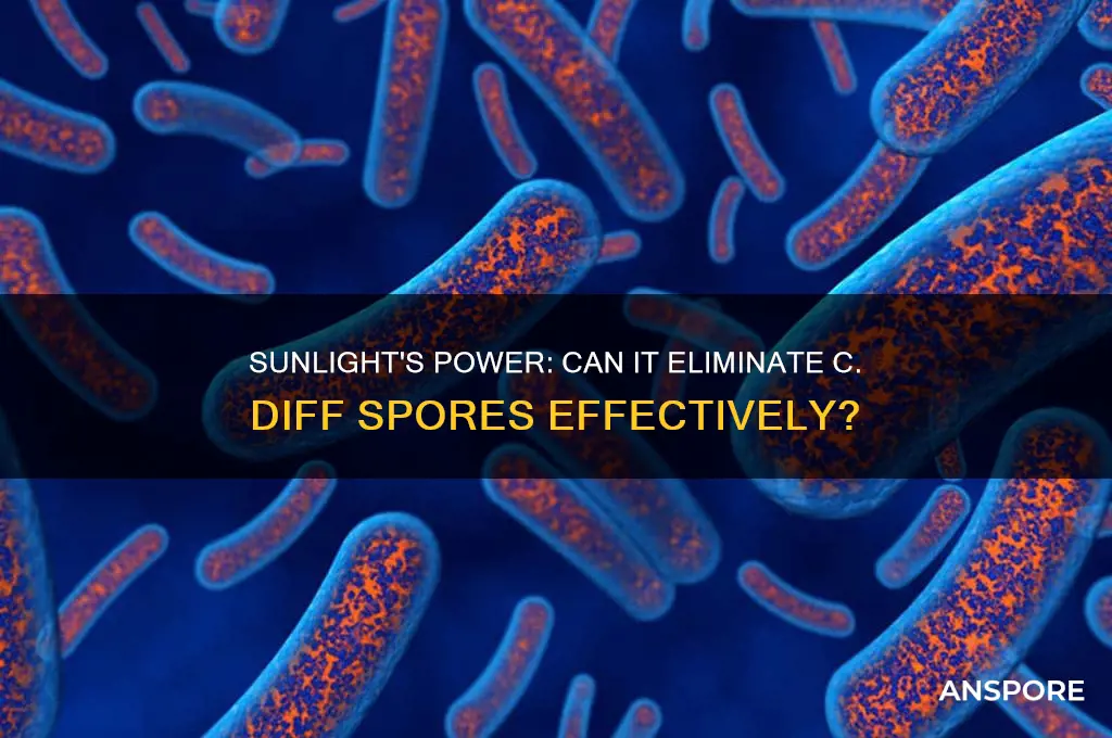 does sunlight kill c diff spores