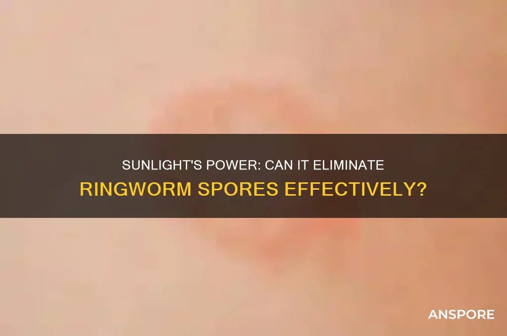 does sunlight kill ringworm spores