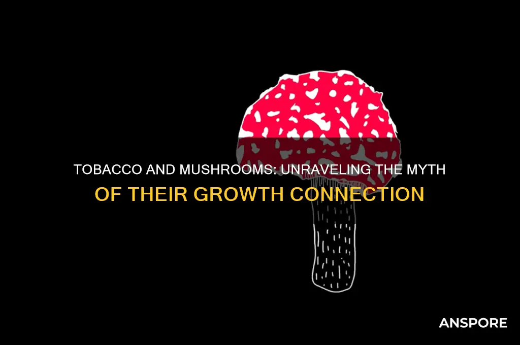 does tabacco grow into mushrooms