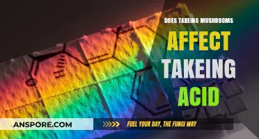 Psychedelic Combinations: Mushrooms and Acid, Safe or Not?