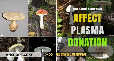 Mushroom Intake and Plasma Donation: What's the Link?