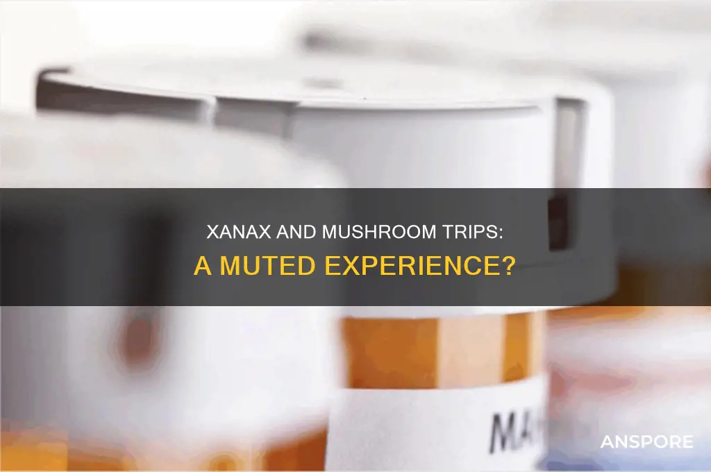 does taking xanax reduce the high of mushrooms
