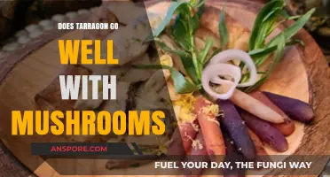 Tarragon and Mushrooms: A Match Made in Heaven?