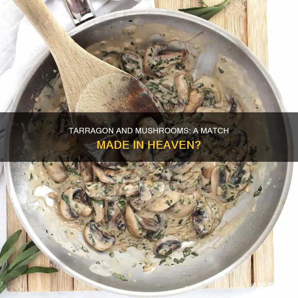 does tarragon go with mushrooms