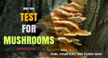 Mushroom Toxins: TASC Test's Comprehensive Scope