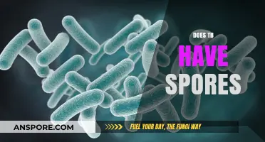 Does TB Have Spores? Unraveling the Mycobacterium Tuberculosis Mystery